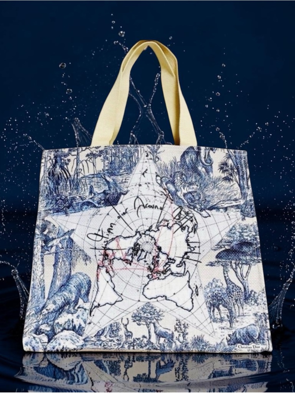 Dior Blue and White around the world canvas Tote NWT